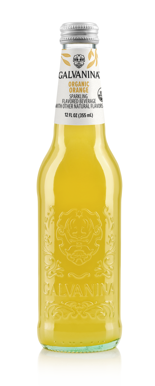 Wholesale Galvanina Organic Orange Soda 355 ML 12 oz- Bulk