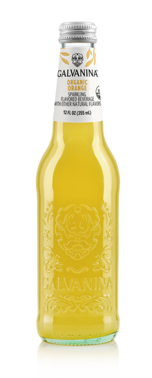 Wholesale Galvanina Organic Orange Soda 355 ML 12 oz- Bulk