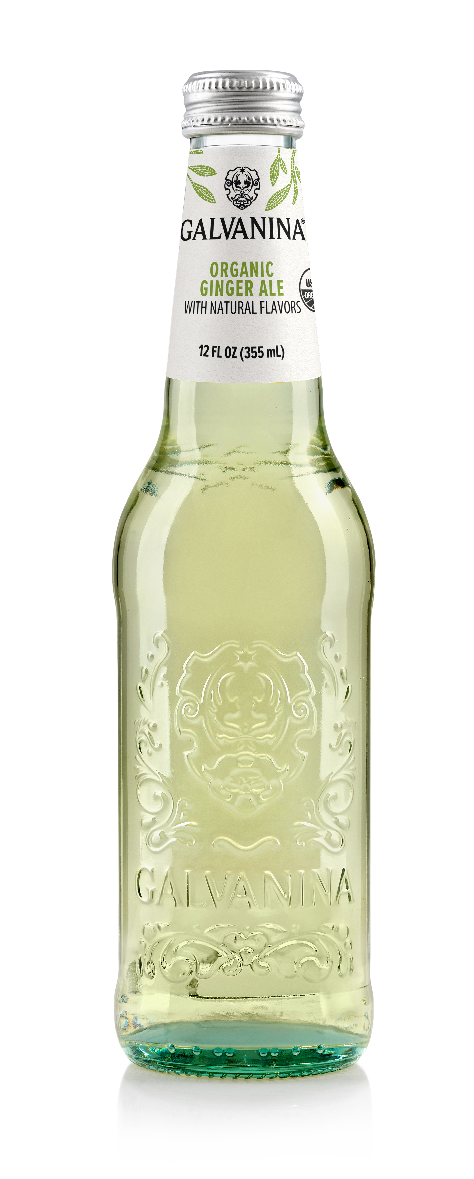 Wholesale Galvanina Organic Ginger Ale Soda 355 ML 12 oz- Bulk