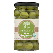 Wholesale Divina Organic Castelvetrano Pitted Olives 10.6 Oz Jar- Bulk
