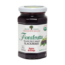 Wholesale Fiordifrutta Organic Blackberry Fruit Spread 8.82 Oz Jar- Bulk