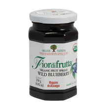 Wholesale Fiordifrutta Organic Wild Blueberry Fruit Spread 8.82 Oz Jar- Bulk