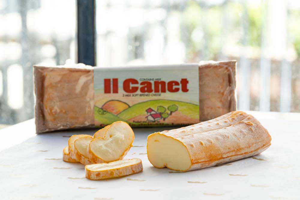 Wholesale Canet Cheese 5 OZ-10 Ct Case Bulk