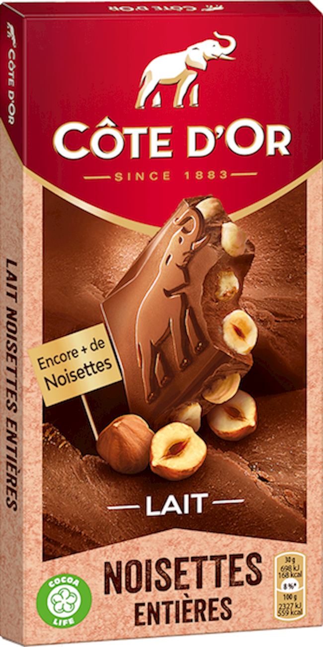 Cote D'or Milk Chocolate Blocks With Whole Hazelnuts 6.35 Oz.