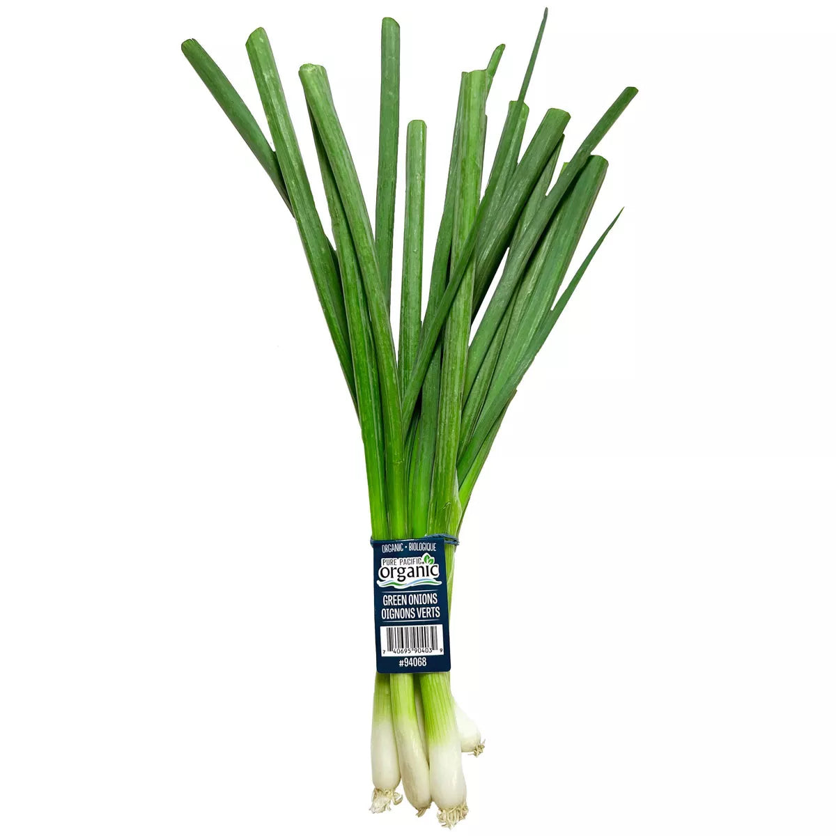 Organic Green Onion Bunch 5.5oz 12ct