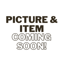 Wholesale Salvati Granulated Onion Spices 5 lb- Bulk