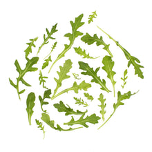 Wholesale B&W Baby Arugula 3 lb- Bulk