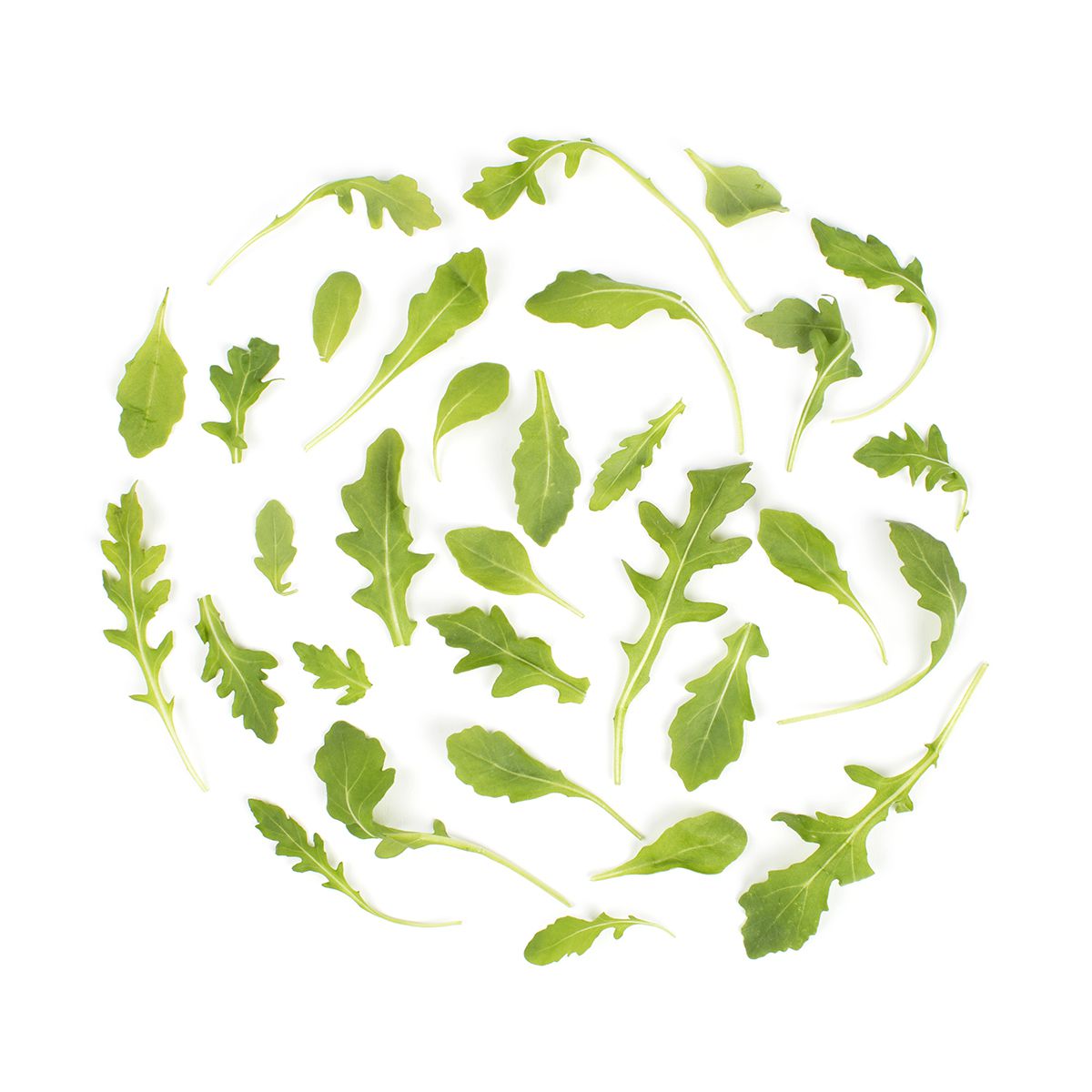 Wholesale BoxNCase Baby Arugula- Bulk