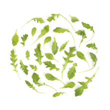 Wholesale BoxNCase Baby Arugula- Bulk