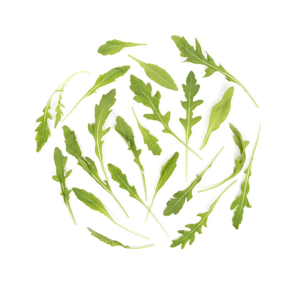 Wholesale BoxNCase Organic Wild Arugula- Bulk