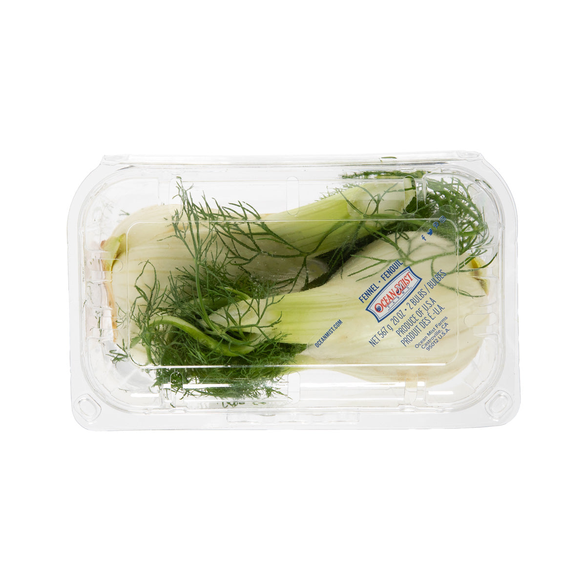 Wholesale BoxNCase Fennel-3 Pack Bulk