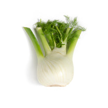 Wholesale BoxNCase Italian Fennel-5 KG Bulk