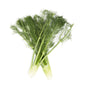 Wholesale Lancaster Farm Fresh Organic Baby Fennel-12 Ct Case Bulk