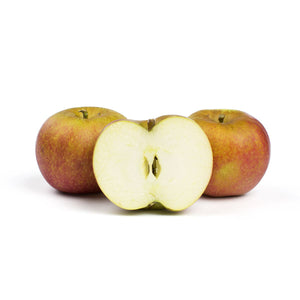 Wholesale Champlain Orchards Belle De Boskoop Apples-18 LB Bulk