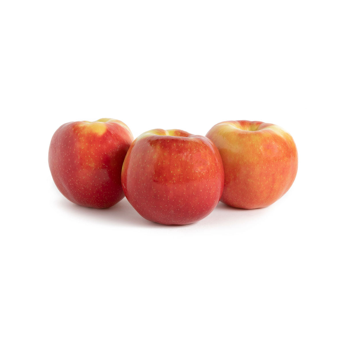 BoxNCase Hunnyz Apples
