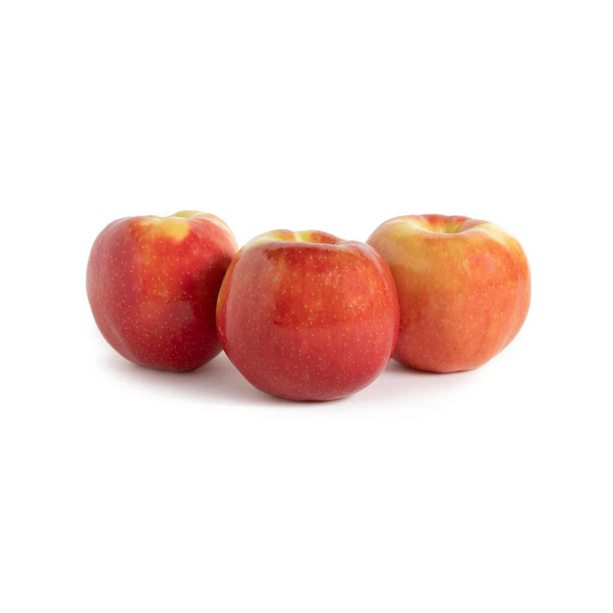 Wholesale BoxNCase Hunnyz Apples-64-72 CT Bulk