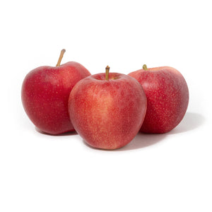 Wholesale Hudson River Fruit Gala Apples 5 LB-8ct Case Bulk