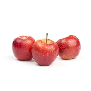 Wholesale BoxNCase Lady Fuji Apples-10 LB Bulk