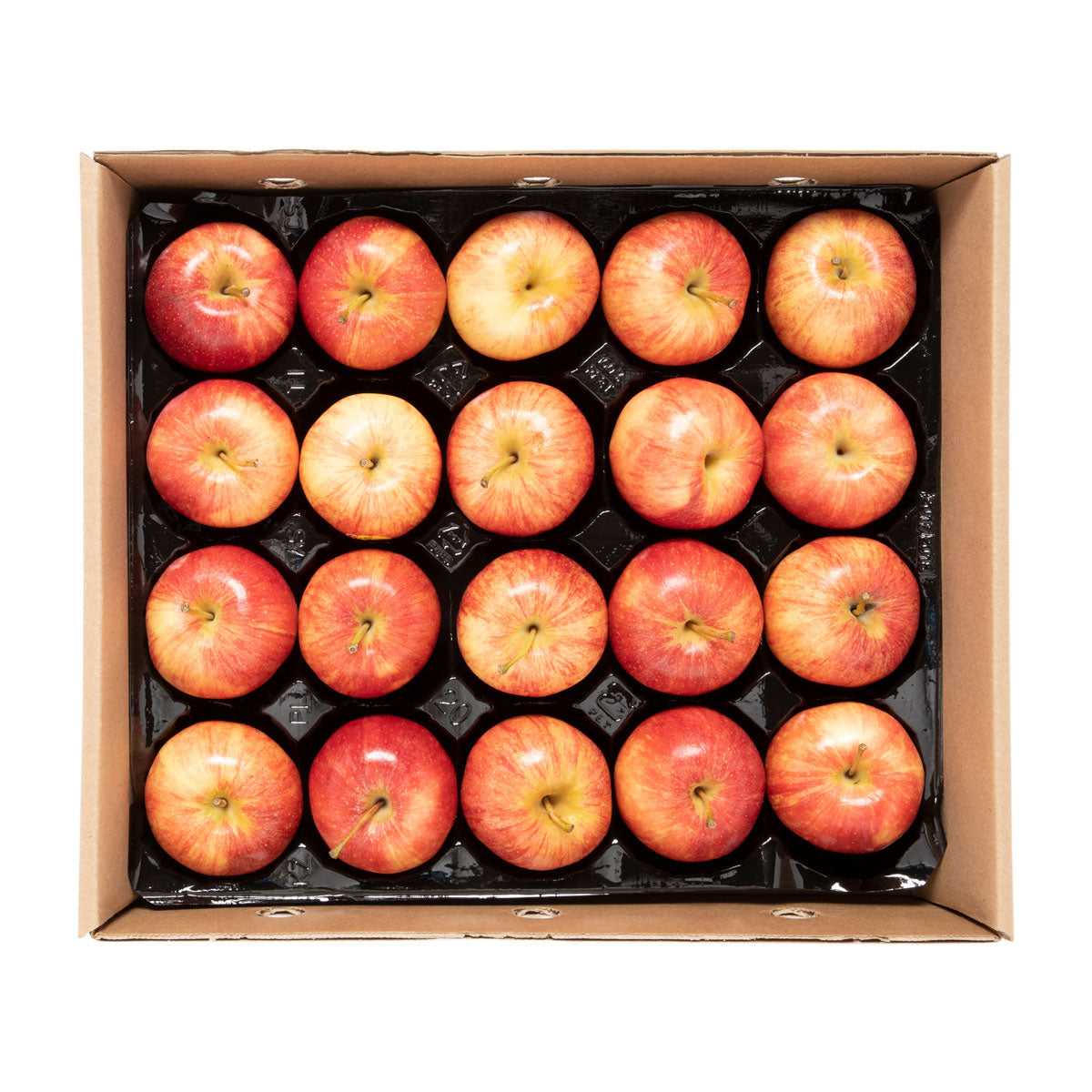 Wholesale BoxNCase Panta-Pack Royal Gala Apples-20 Ct Case Bulk