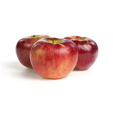 Wholesale BoxNCase Envy Apples- Bulk