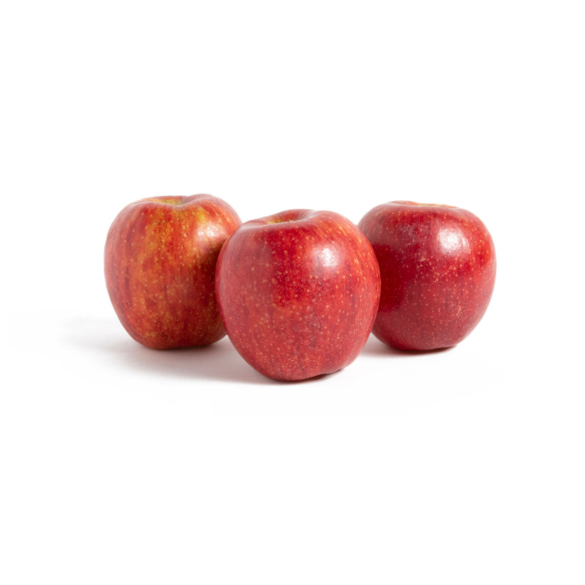 BoxNCase Envy Apples 27 lb