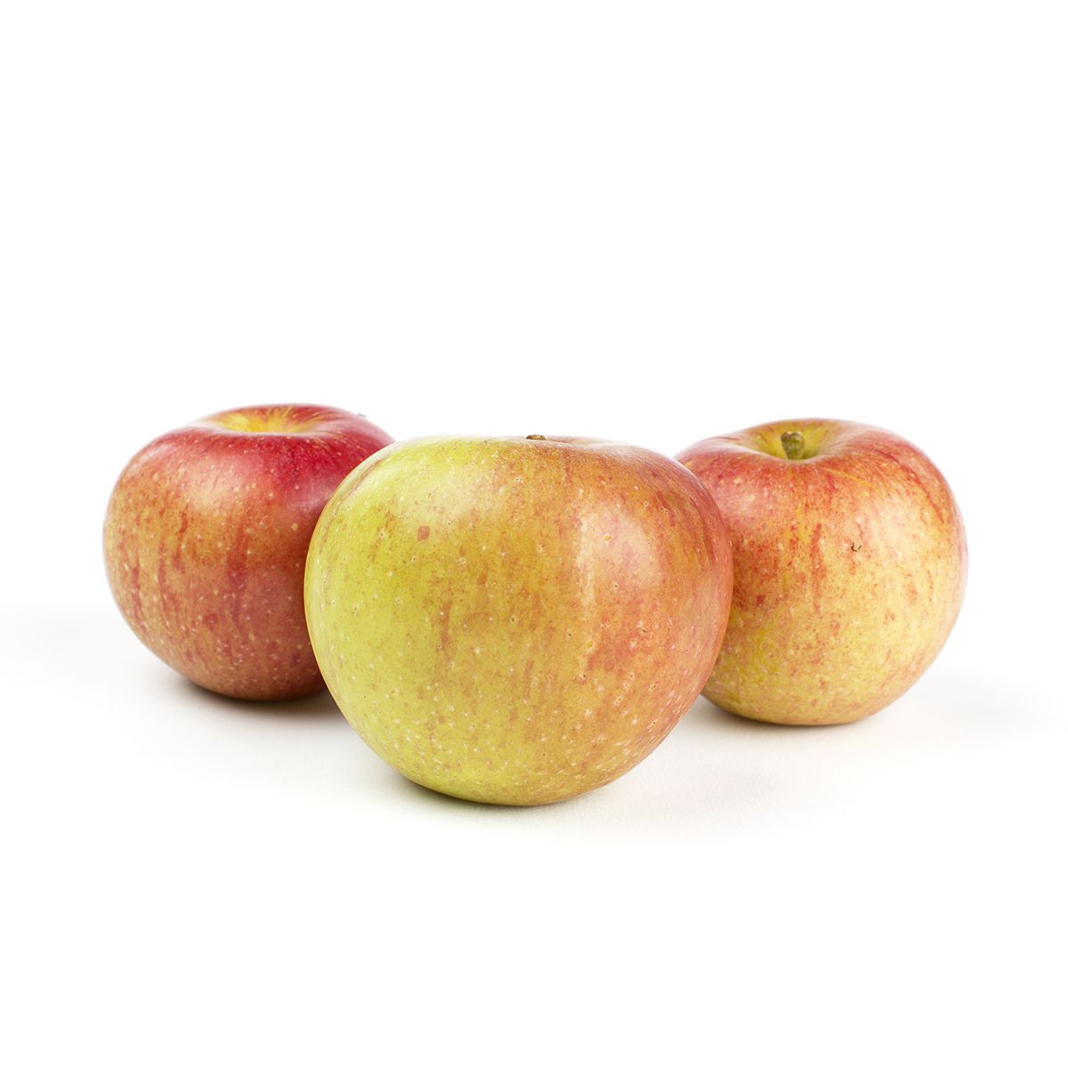Wholesale Scott Farm Orchard Cox's Orange Pippin Heirloom Apples- Bulk