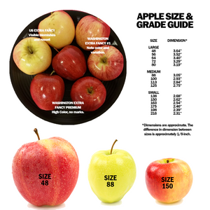 Wholesale BoxNCase Red Delicious Apples-100 CT Bulk