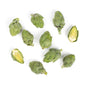 Wholesale Ocean Mist Farms Baby Artichokes- Bulk