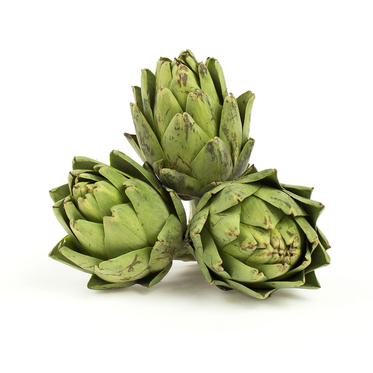 Wholesale Ocean Mist Farms Organic Artichokes-24 Ct Case Bulk