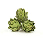 Wholesale Ocean Mist Farms Artichokes- Bulk