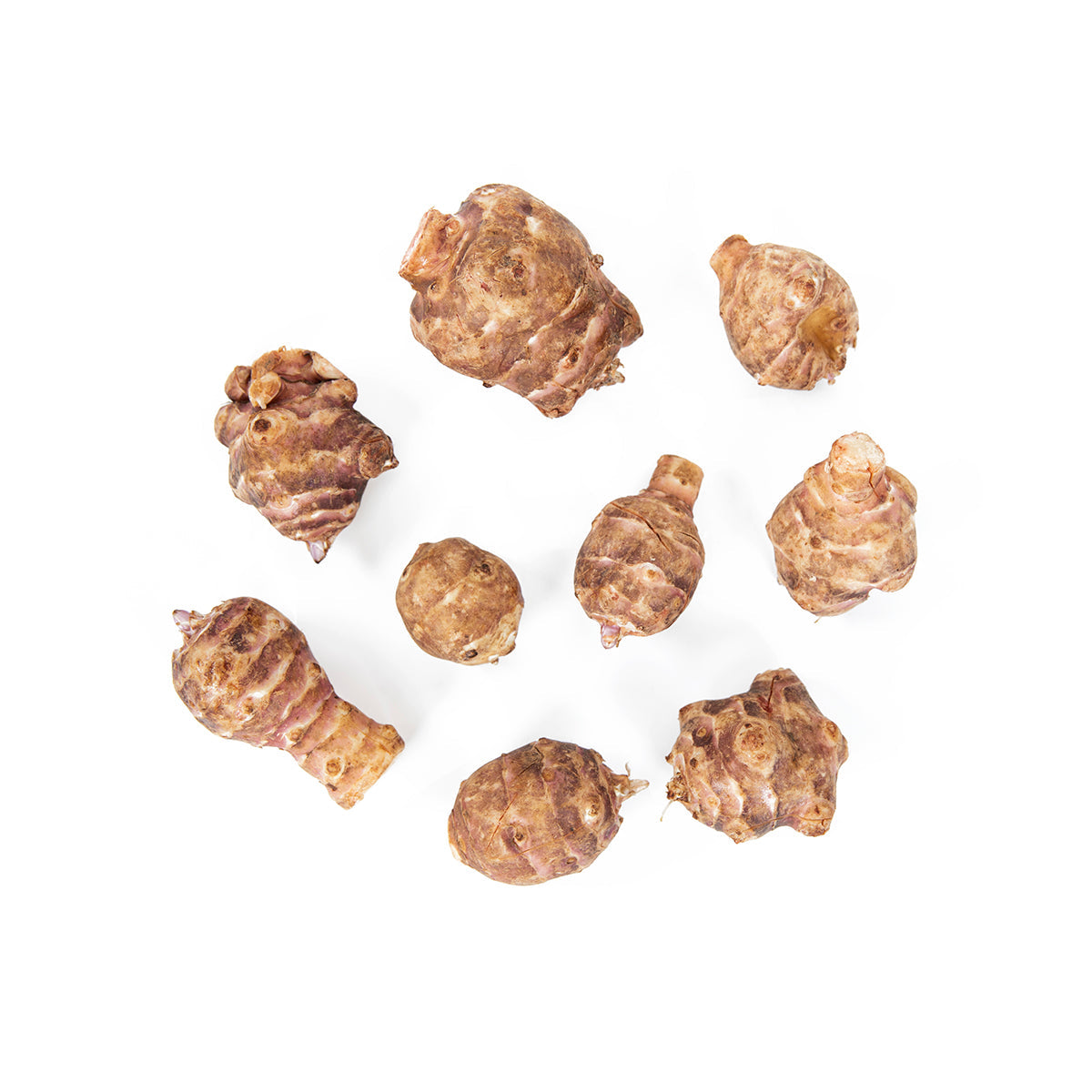 Wholesale BoxNCase European Heirloom Sunchokes-11 LB Bulk