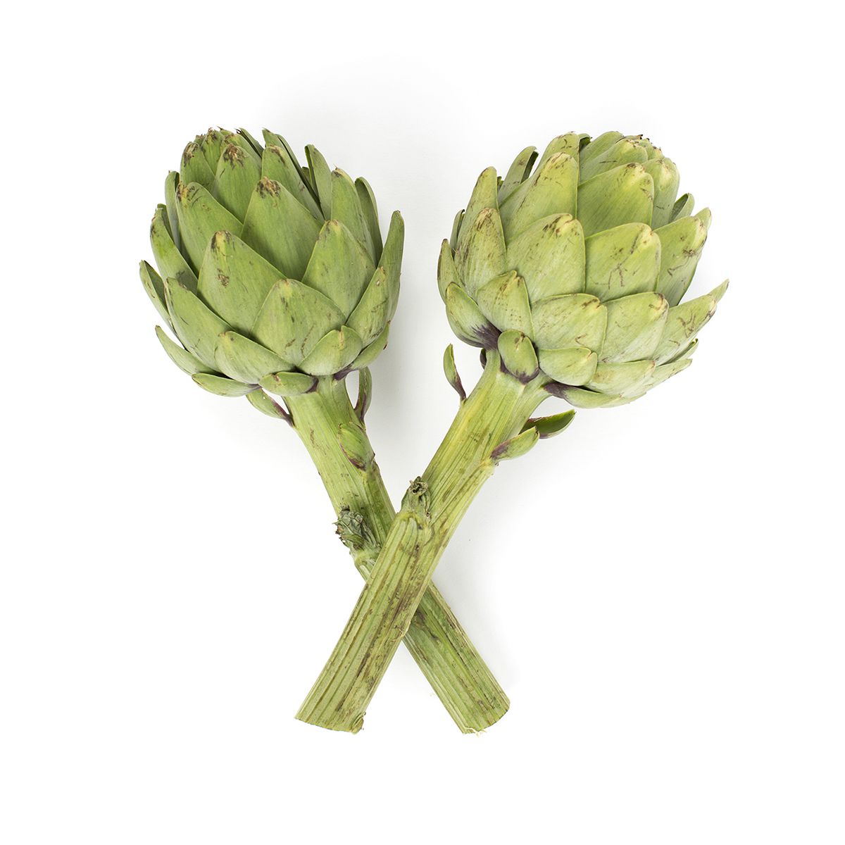 Wholesale Ocean Mist Farms Long Stem Artichokes-14 CT Bulk