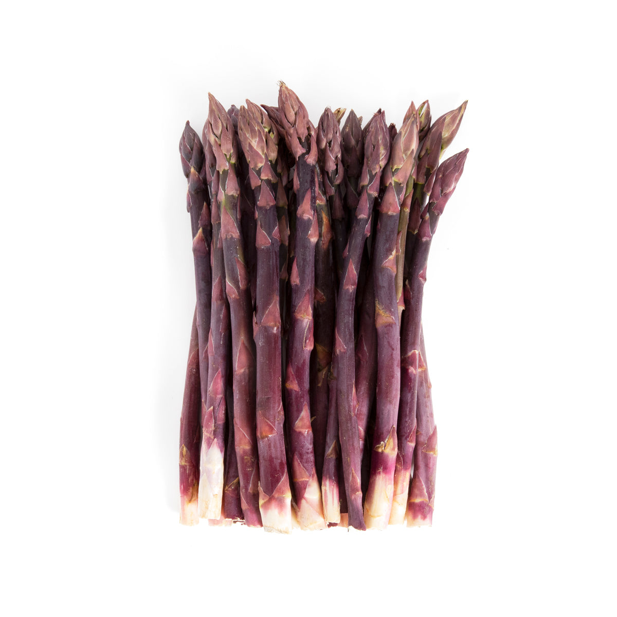 Wholesale BoxNCase Purple Asparagus 11 lb-11 LB Bulk