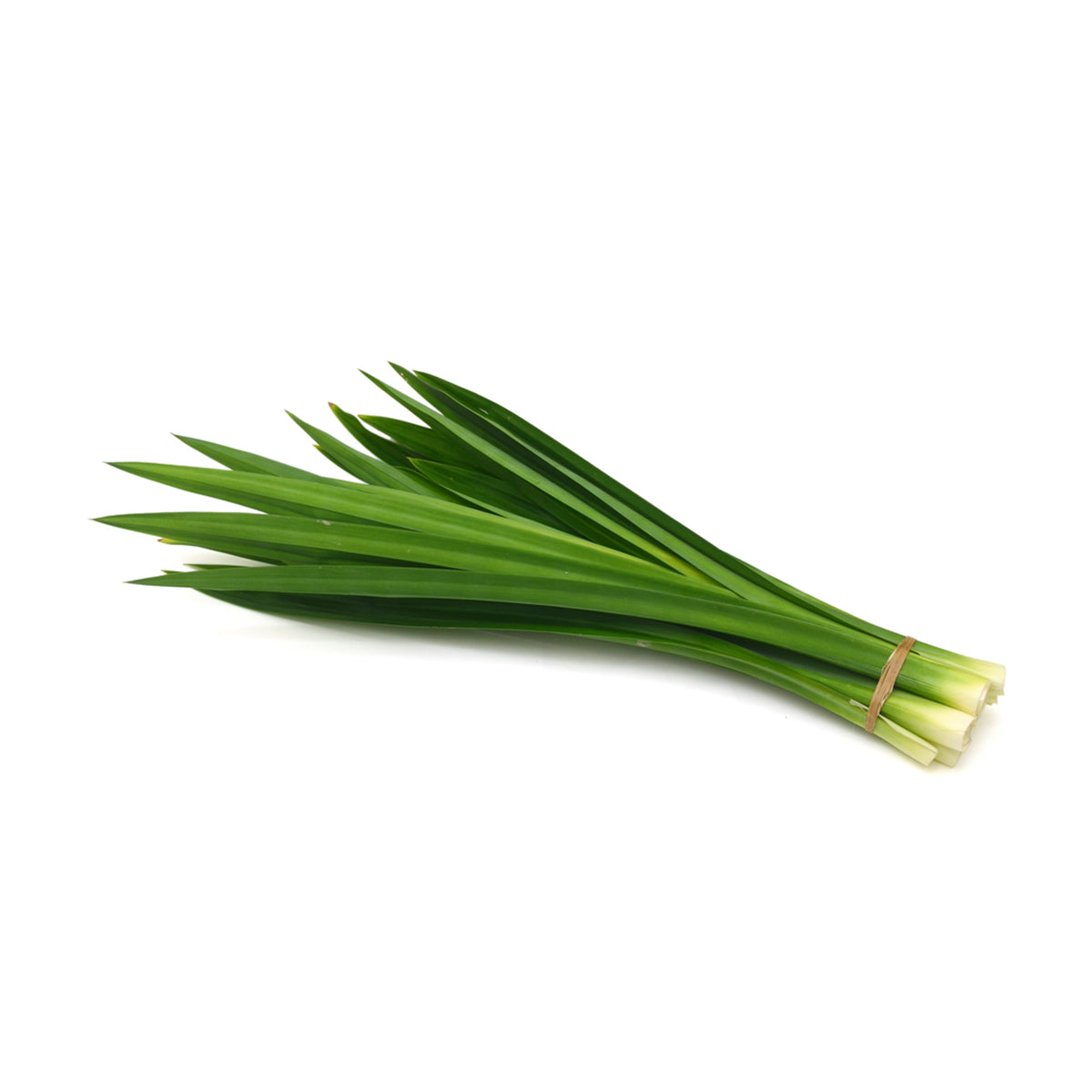 Wholesale Asian Market Frozen Pandan Leaves- Bulk