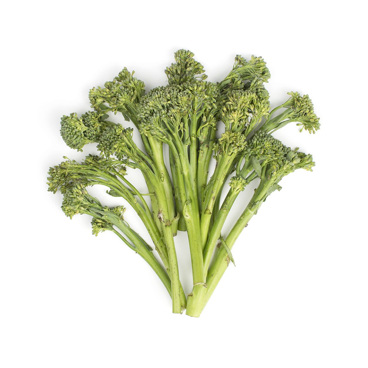 Wholesale Mann Packing Iced Broccolini-18 CT Bulk