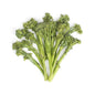 Wholesale Mann Packing Iced Broccolini- Bulk