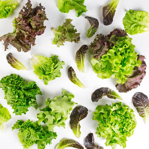 Wholesale BoxNCase Baby Lettuce Mix-2 LB Bulk