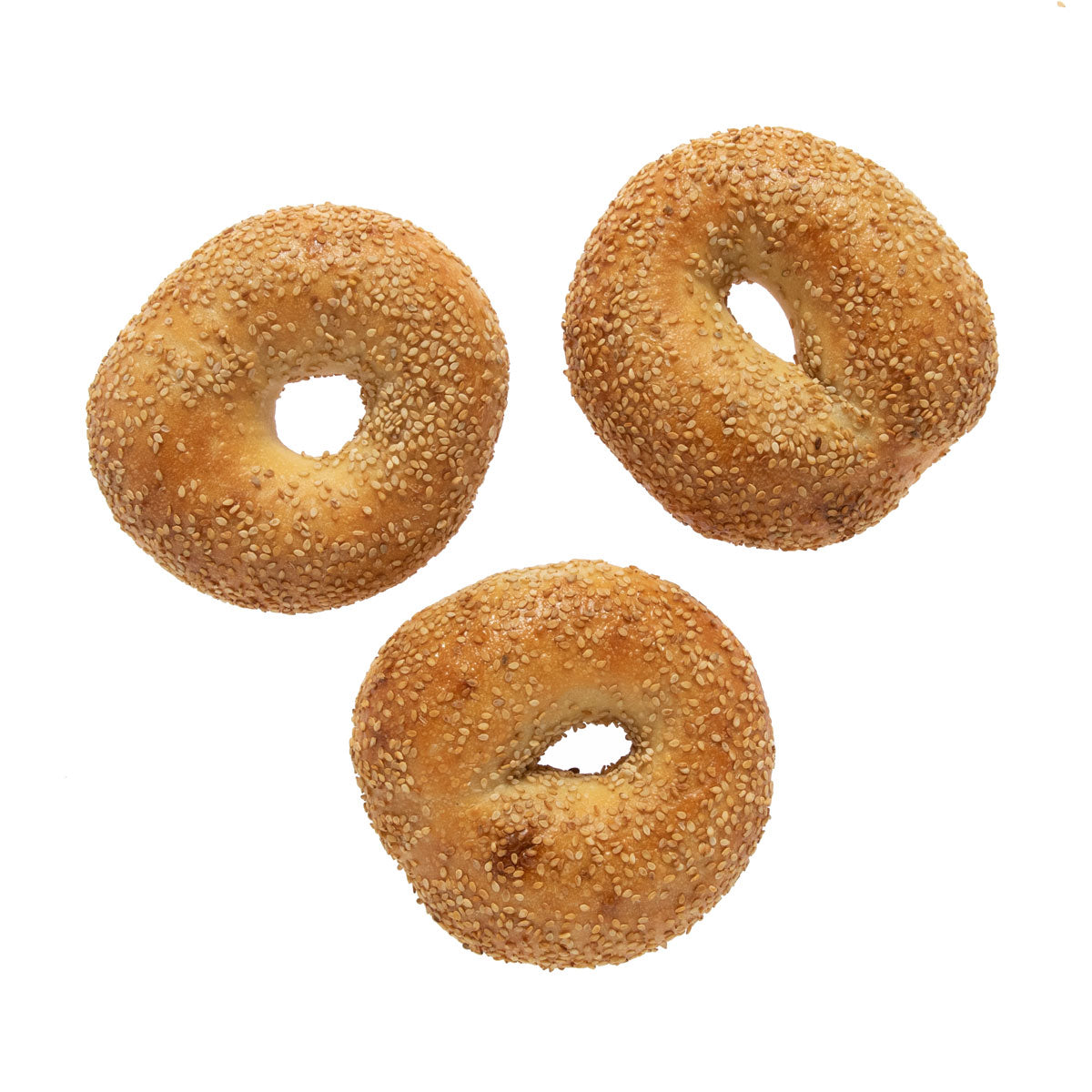 Wholesale Orwashers Bakery Frozen Sesame Bagel 6 CT-8ct Case Bulk