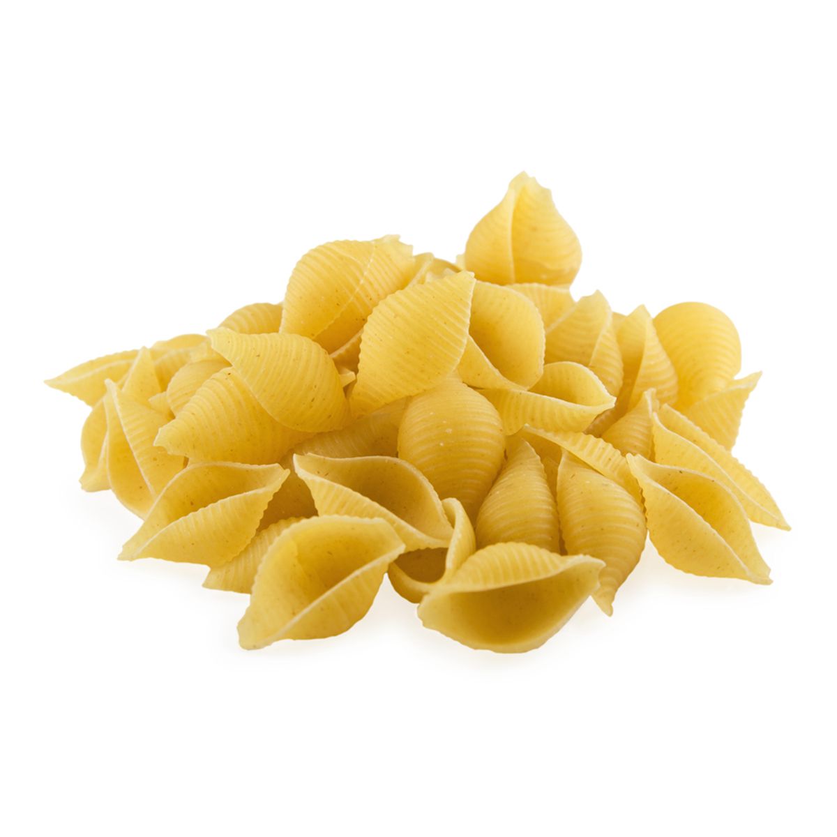 Barilla Conchiglie Rigate Pasta Shells 10 lb
