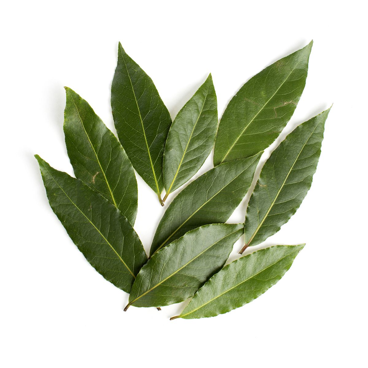 Wholesale BoxNCase Bay Leaves-2.2 LB Bulk