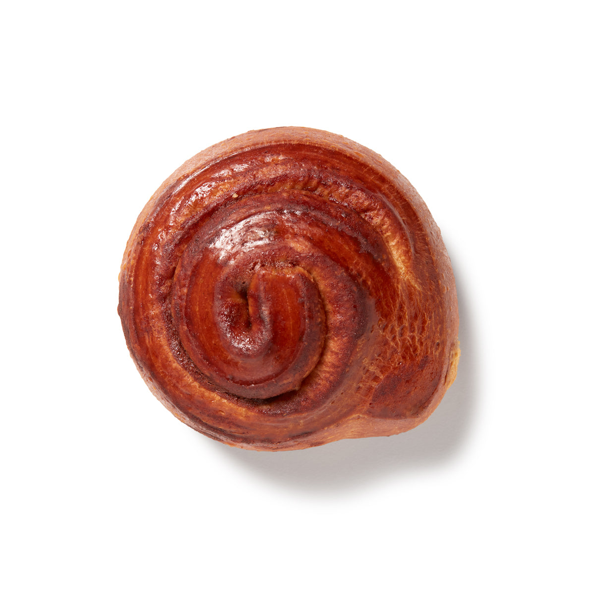 Wholesale Bridor Ready to Bake Medium Cinnamon Brioche 64 GR- Bulk