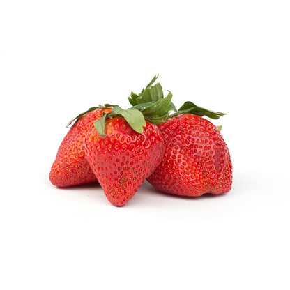 Wholesale BoxNCase Strawberries 1 LB- Bulk