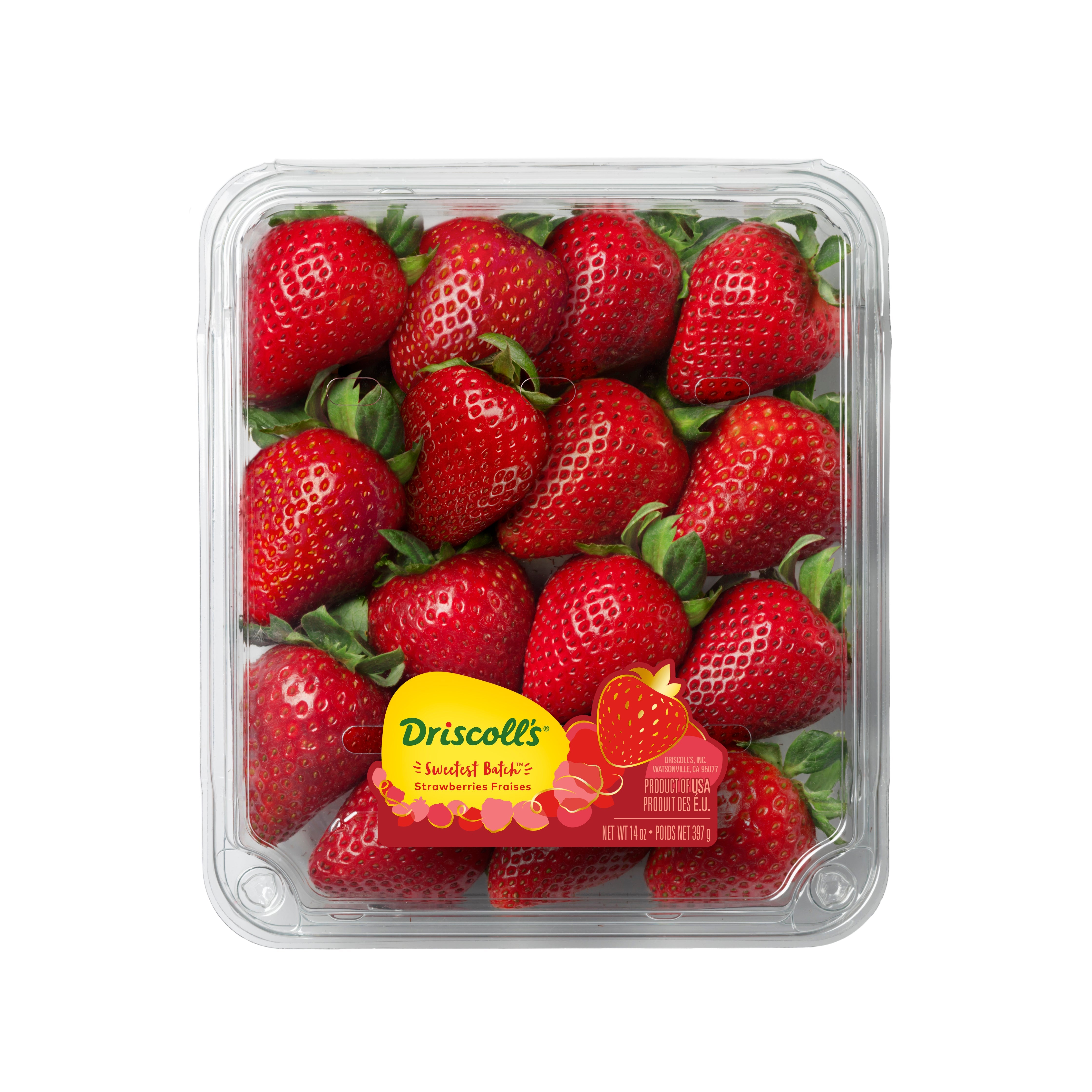 Driscoll'S Limited Edition Sweetest Batch Strawberries 14 OZ