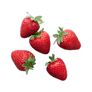 Wholesale Sunset WOW Berries Dreamberry Strawberries 10 OZ-10ct Case Bulk