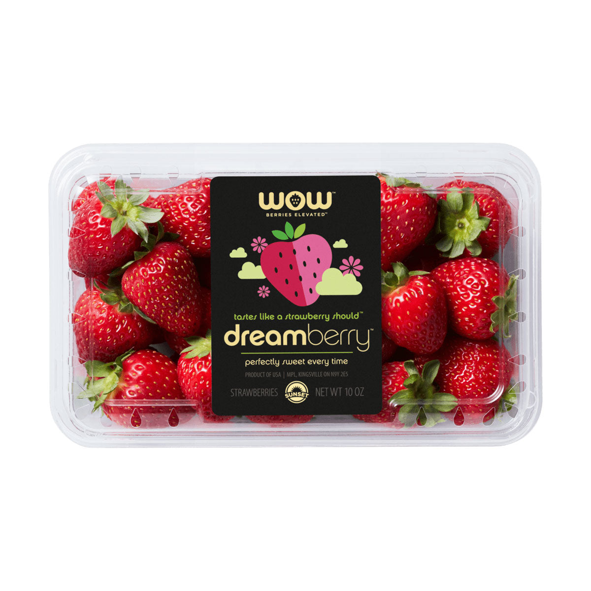 Wholesale Sunset WOW Berries Dreamberry Strawberries 10 OZ-10ct Case Bulk