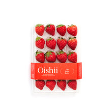 Wholesale Oishii Koyo Berries-3 Pack Bulk