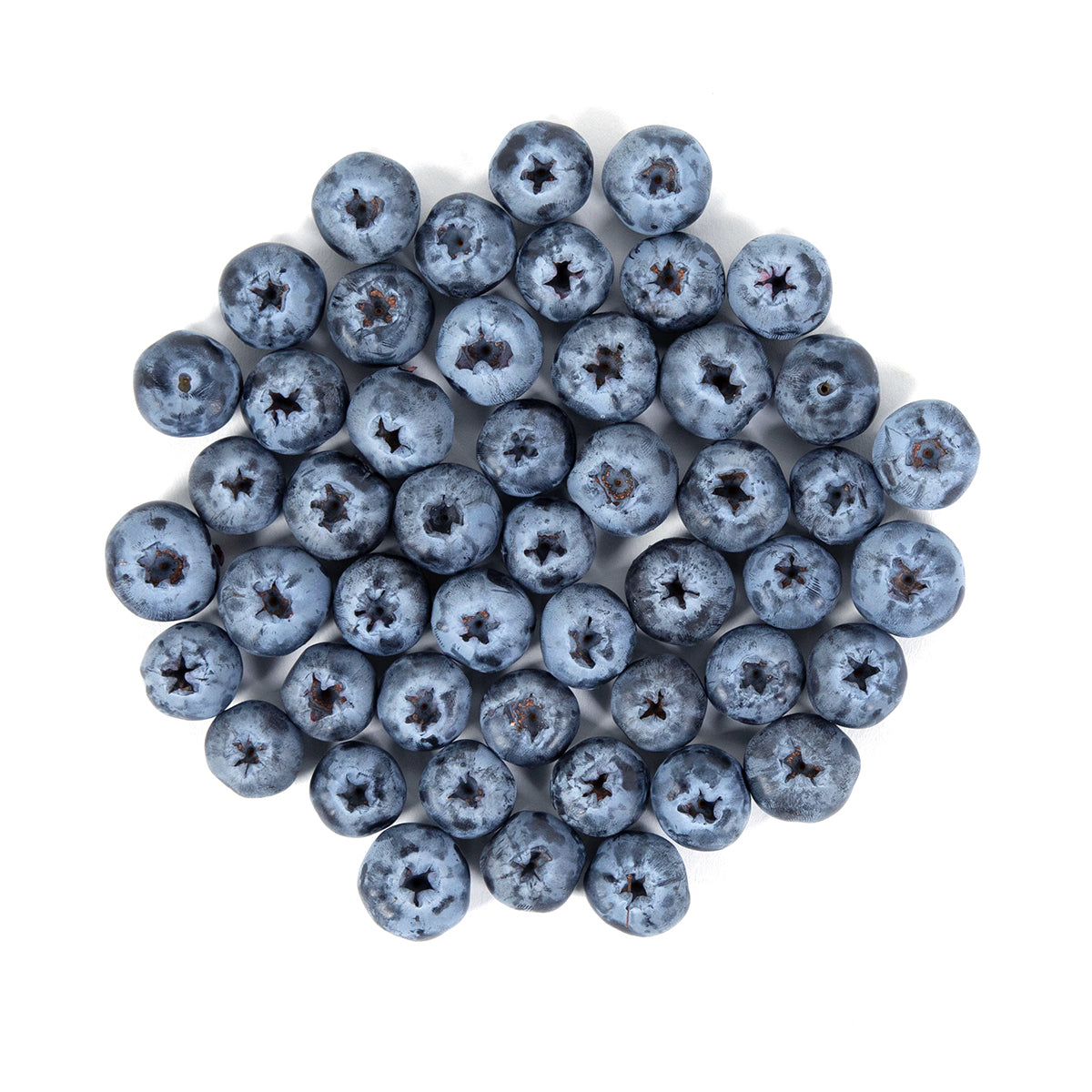Driscoll'S Limited Edition Sweetest Batch Jumbo Blueberries 11 OZ