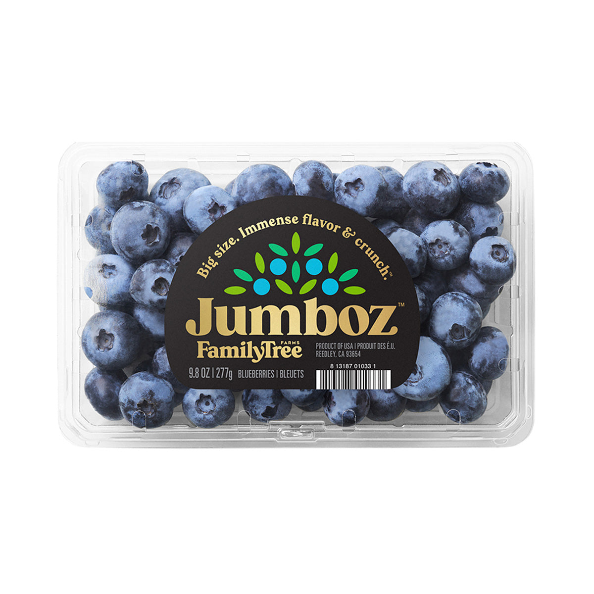 Wholesale Family Tree Farms Jumbo Blueberries 9.8 OZ-12ct Case Bulk