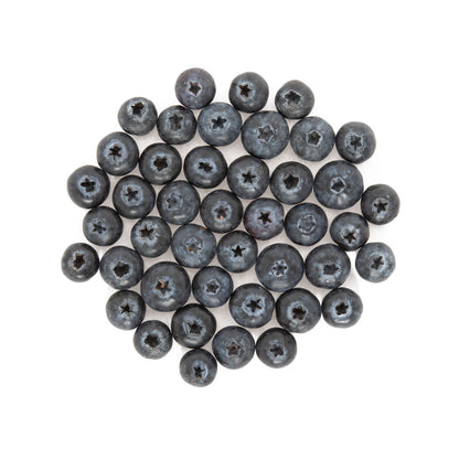 Wholesale Family Tree Farms Jumbo Blueberries 9.8 OZ- Bulk