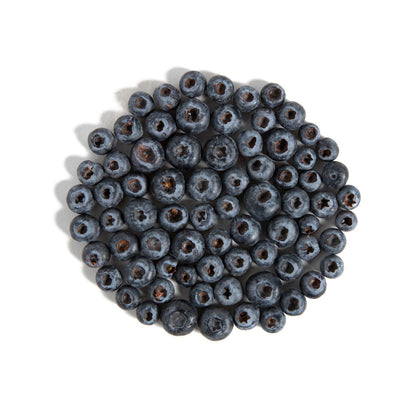 Wholesale Family Tree Farms Blueberries 18 OZ- Bulk